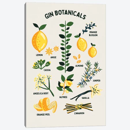 Botanical Gin Chart Canvas Print #TWG13} by The Whiskey Ginger Canvas Art Print
