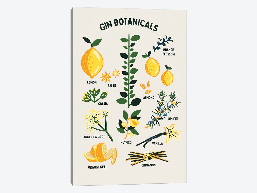 Botanical Gin Chart by The Whiskey Ginger 1-piece Canvas Print
