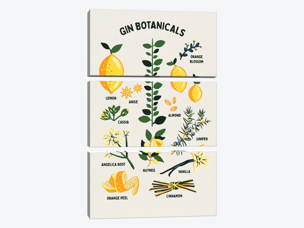 Botanical Gin Chart by The Whiskey Ginger 3-piece Canvas Art Print