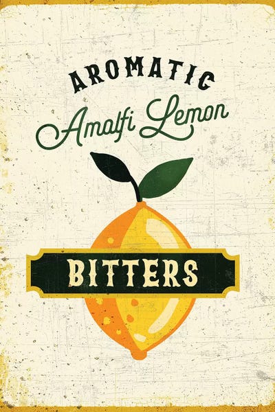 The Whiskey Ginger: Botanical Gin Lemon Bitters by The Whiskey Ginger