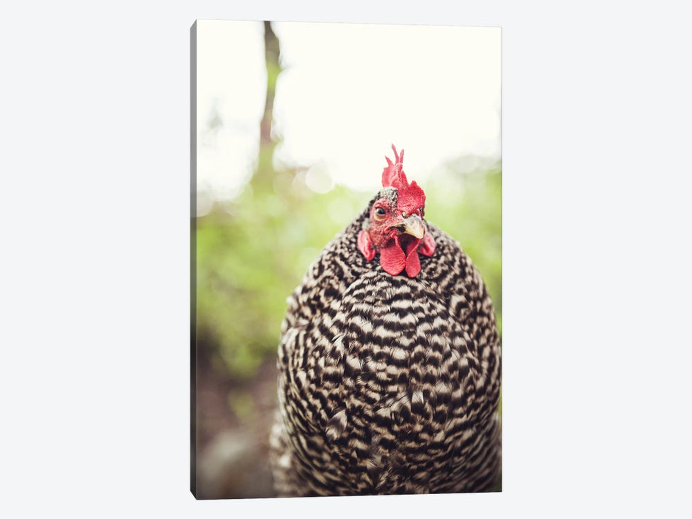 Bossy Hen by The Whiskey Ginger 1-piece Art Print