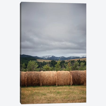 Bridger Mountain Field Canvas Print #TWG54} by The Whiskey Ginger Canvas Wall Art