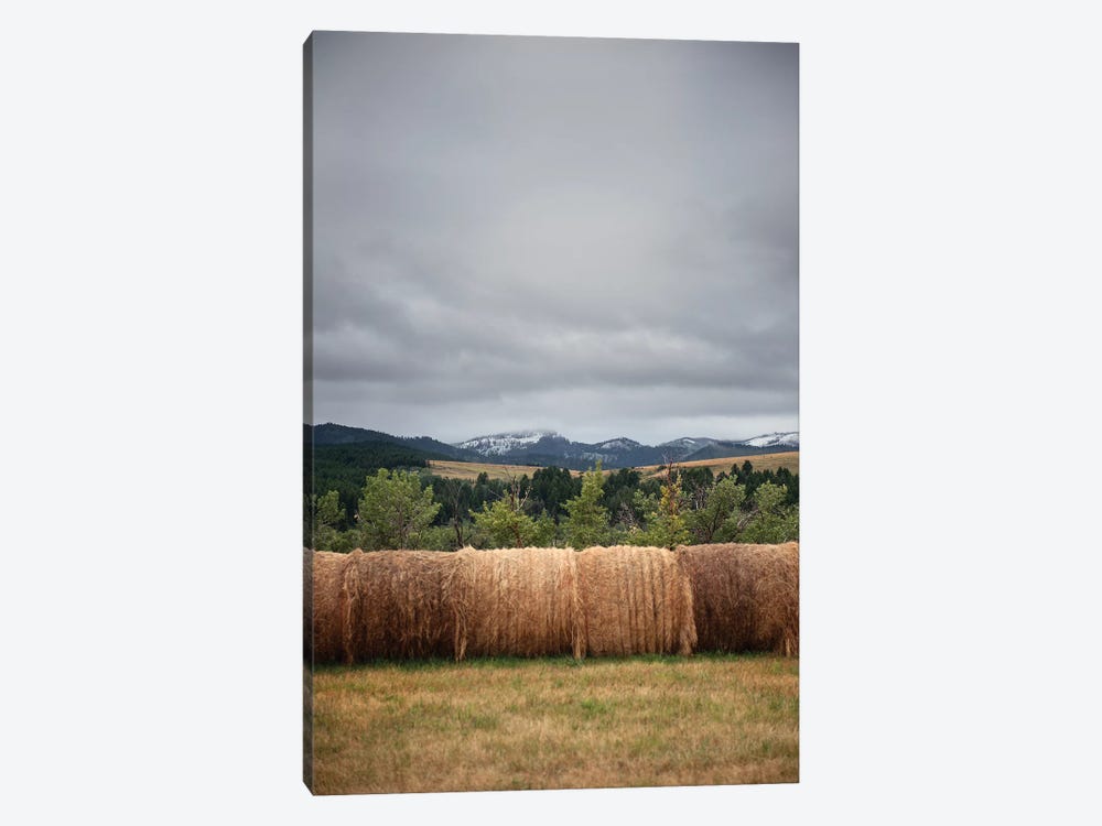 Bridger Mountain Field by The Whiskey Ginger 1-piece Canvas Artwork