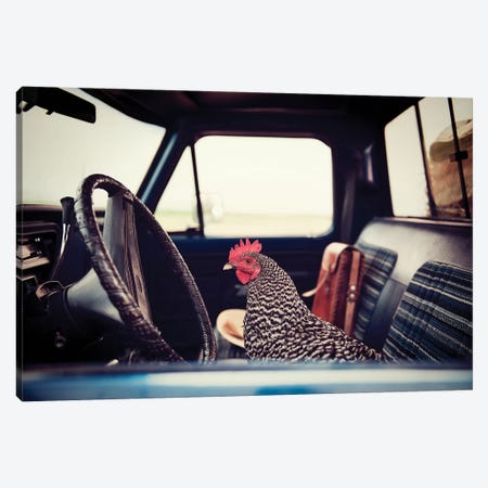 Hen Sunday Drive Canvas Print #TWG57} by The Whiskey Ginger Canvas Wall Art