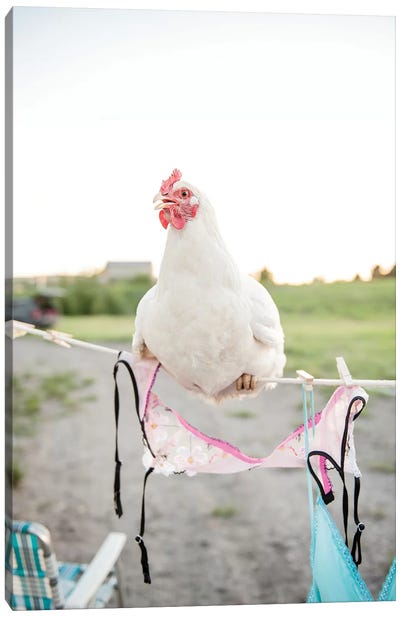 Martha On Clothesline Canvas Art Print - Chicken & Rooster Art
