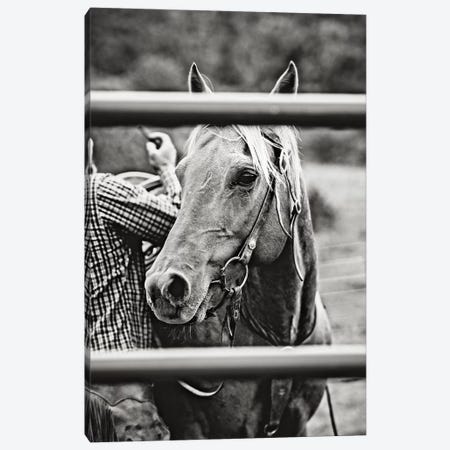Saddling Horse Canvas Print #TWG62} by The Whiskey Ginger Canvas Art
