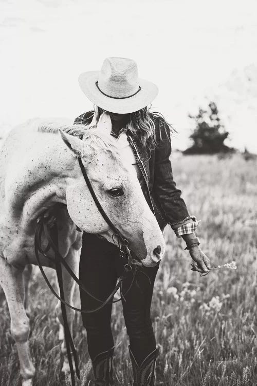 Silver Horse by The Whiskey Ginger wall art