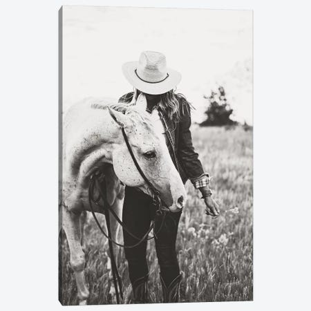 Silver Horse Canvas Print #TWG63} by The Whiskey Ginger Canvas Wall Art