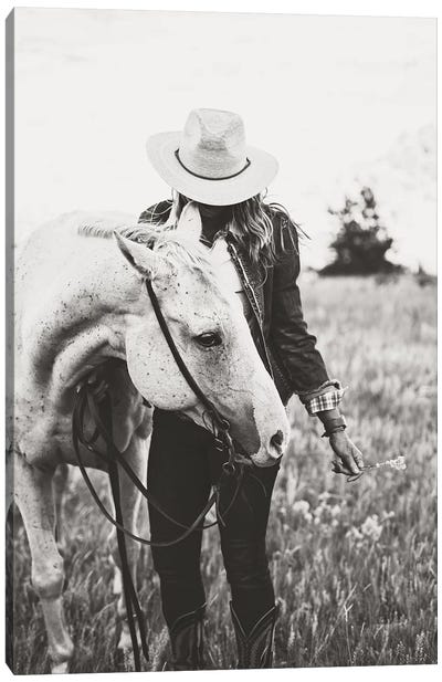 Silver Horse Canvas Art Print - Country Music Art