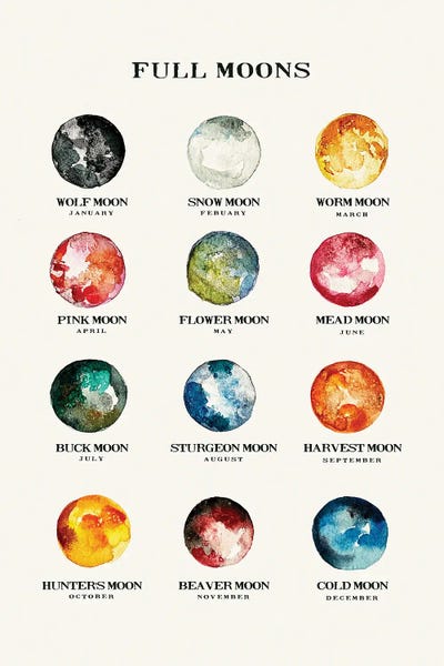 Astrology: Full Moons Chart Watercolor by The Whiskey Ginger