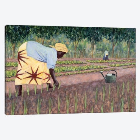Planting Onions, 2005 Canvas Print #TWI33} by Tilly Willis Canvas Print