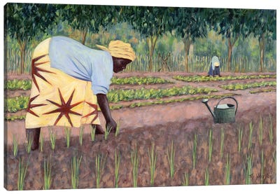 Planting Onions, 2005 Canvas Art Print