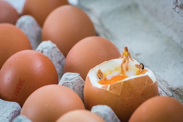 Miniature Worlds: Eggcuzzi by Tiny Wasteland