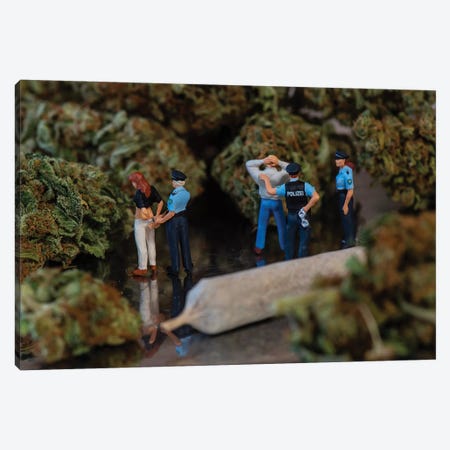 After 420 Canvas Print #TWL1} by Tiny Wasteland Canvas Art