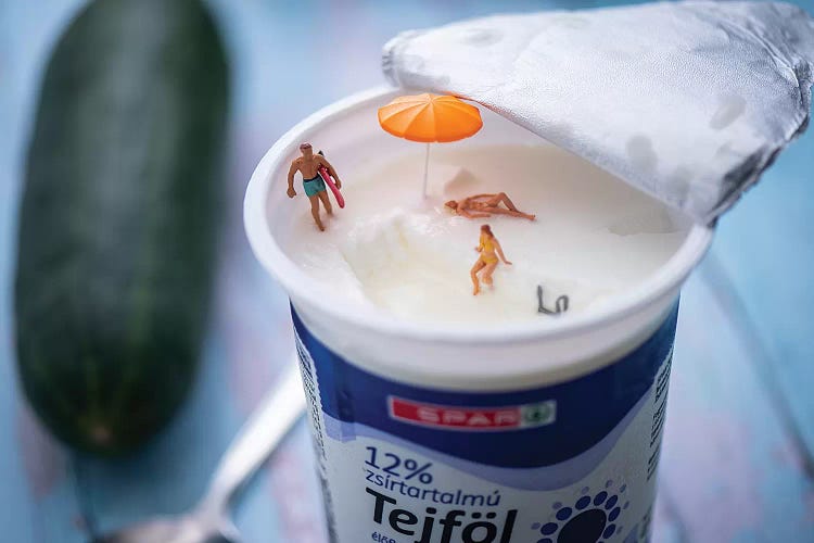 Never Let The Sour Cream Out by Tiny Wasteland wall art