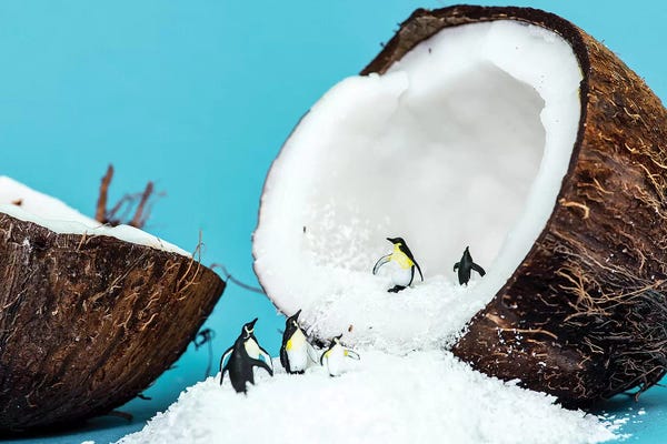 Action Figures: AntartiCoco by Tiny Wasteland