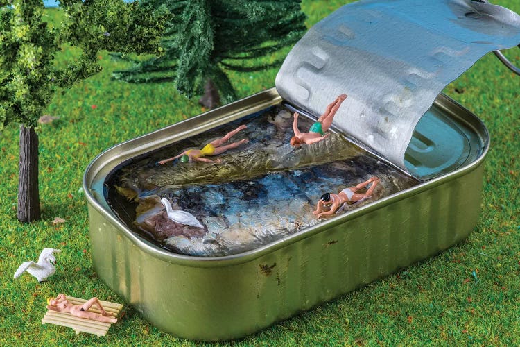 Sardine Vacation