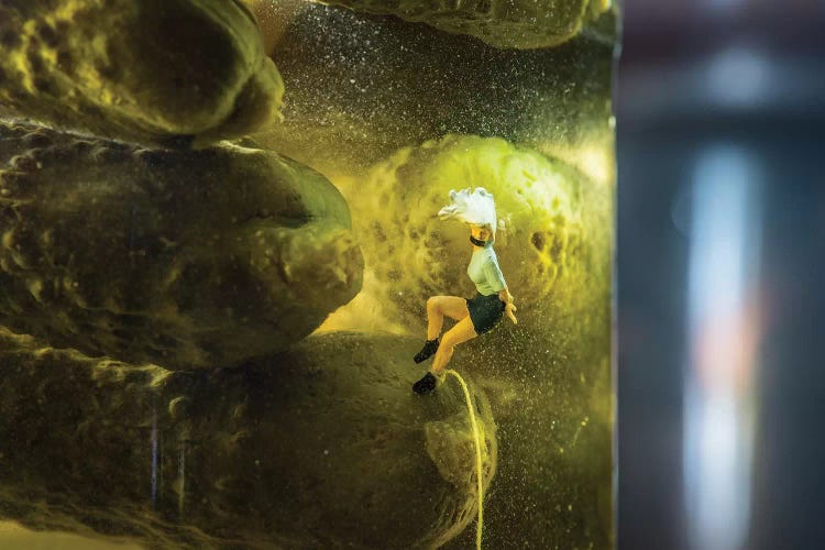 She Sleeps With The Pickles Now by Tiny Wasteland wall art