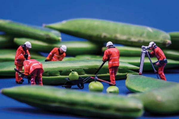 Witty Humor: Work In Peas by Tiny Wasteland