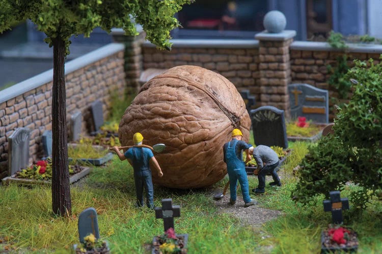 Are You Sure You Want To Plant It Here? by Tiny Wasteland wall art