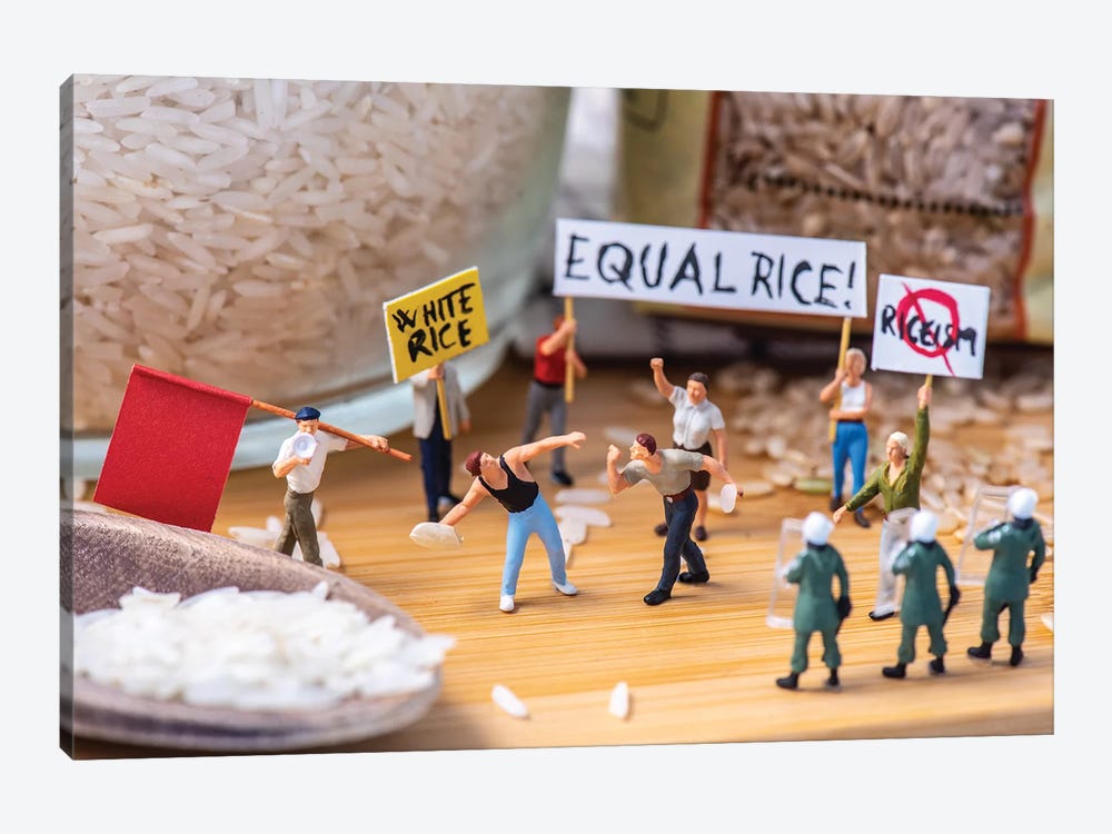 Rice Up For Your Rice! by Tiny Wasteland 1-piece Canvas Wall Art