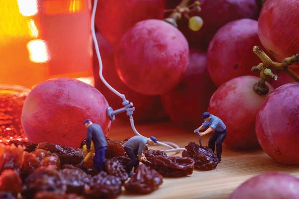 Action Figures: At the winery by Tiny Wasteland