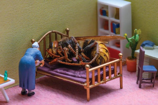 Action Figures: Metamorphosis by Tiny Wasteland