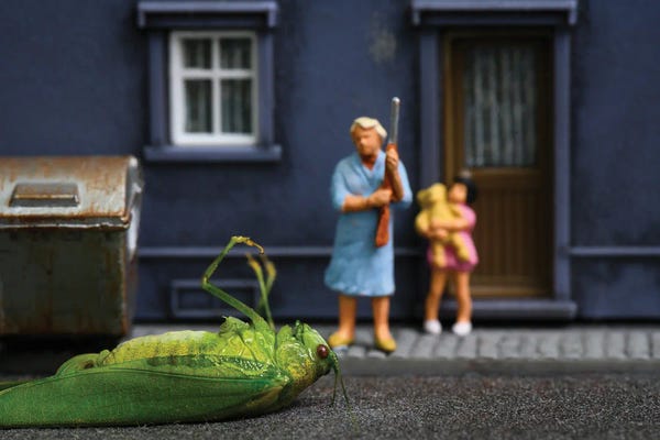 Cicadas: Stay in the house Lily! by Tiny Wasteland