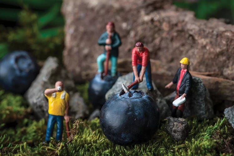 Blueberry Workers by Tiny Wasteland wall art