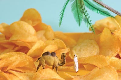 Chips Desert by Tiny Wasteland framed wall art