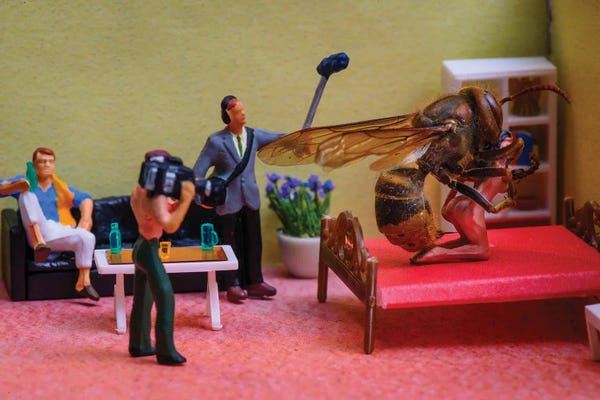 Action Figures: Interracial by Tiny Wasteland