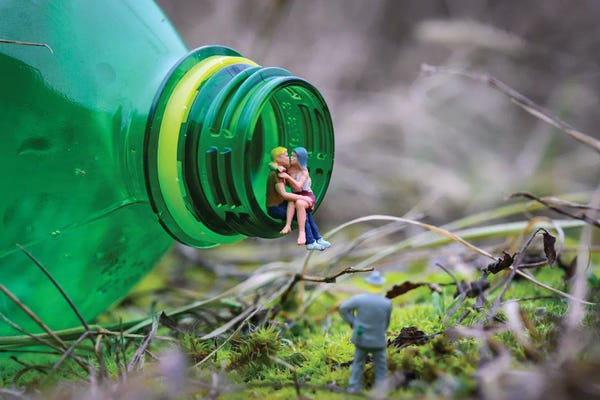 Action Figures: Pet Love by Tiny Wasteland