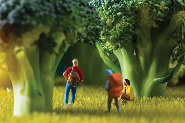 Miniature Worlds: Broccoli Forest by Tiny Wasteland