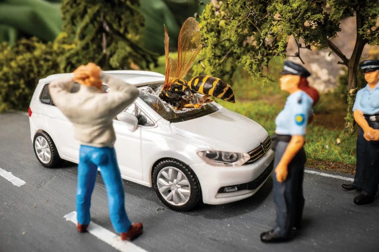 Accident by Tiny Wasteland wall art