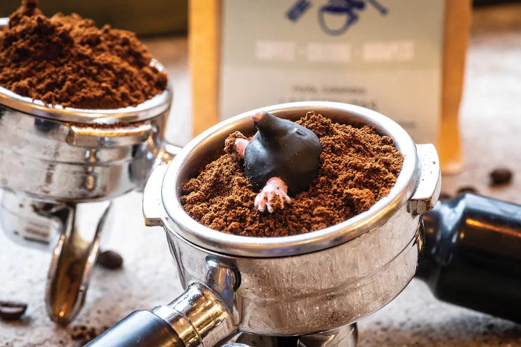 Morning Mole by Tiny Wasteland wall art
