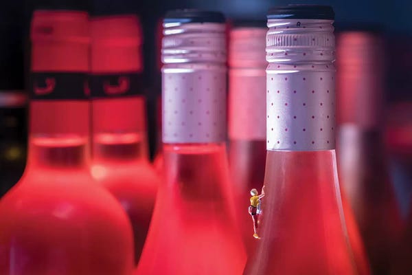 Action Figures: Climb It & Open It by Tiny Wasteland