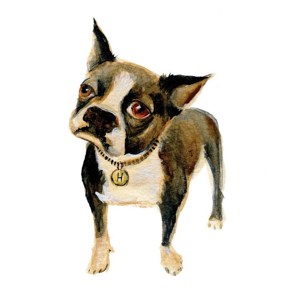 French Bulldogs: Hell Hound by TDow Thomas