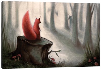 Little Red Riding Squirrel Canvas Art Print - Squirrel Art