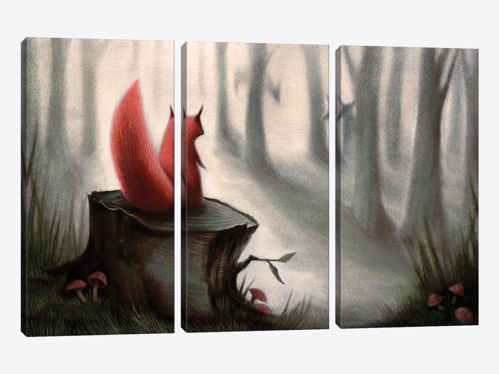 Little Red Riding Squirrel by TDow Thomas 3-piece Canvas Print