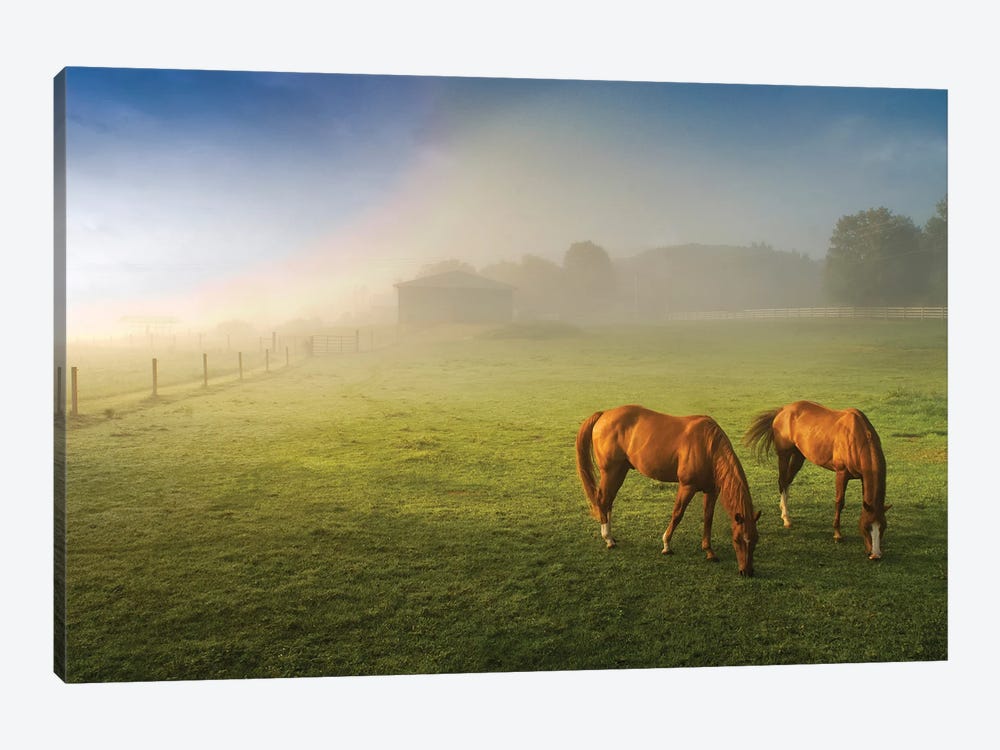 Horses In Pasture, Michigan. by Terry Bidgood 1-piece Canvas Wall Art