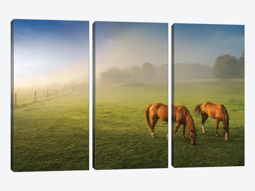 Horses In Pasture, Michigan. by Terry Bidgood 3-piece Canvas Art