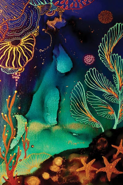 Starfish: Jewels Of The Sea by Amy Tieman