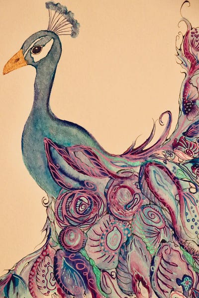Amy Tieman: Playful Peacock ll by Amy Tieman