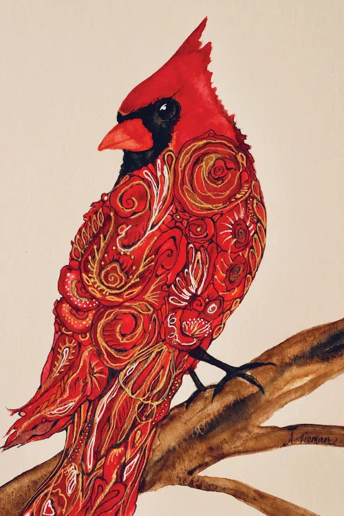 Regal Cardinal