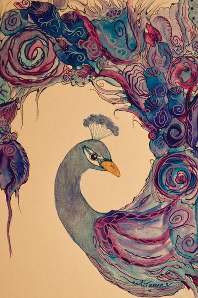 Amy Tieman: Playful Peacock by Amy Tieman