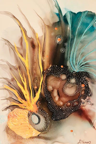 Amy Tieman: Reflections by Amy Tieman