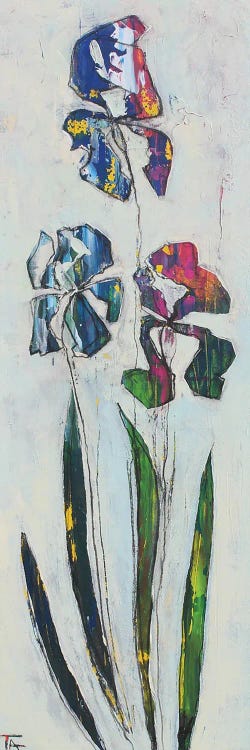 Irises