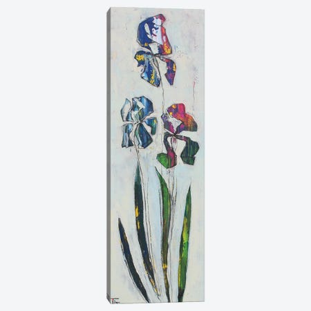 Irises Canvas Print #TYN18} by Tatyana Ausheva Canvas Art Print