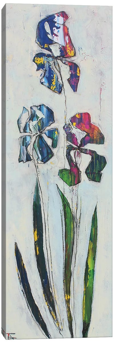 Irises Canvas Art Print - Iris Art