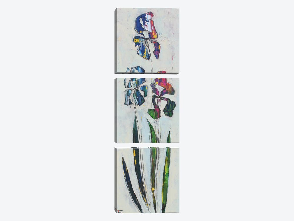 Irises by Tatyana Ausheva 3-piece Canvas Art Print